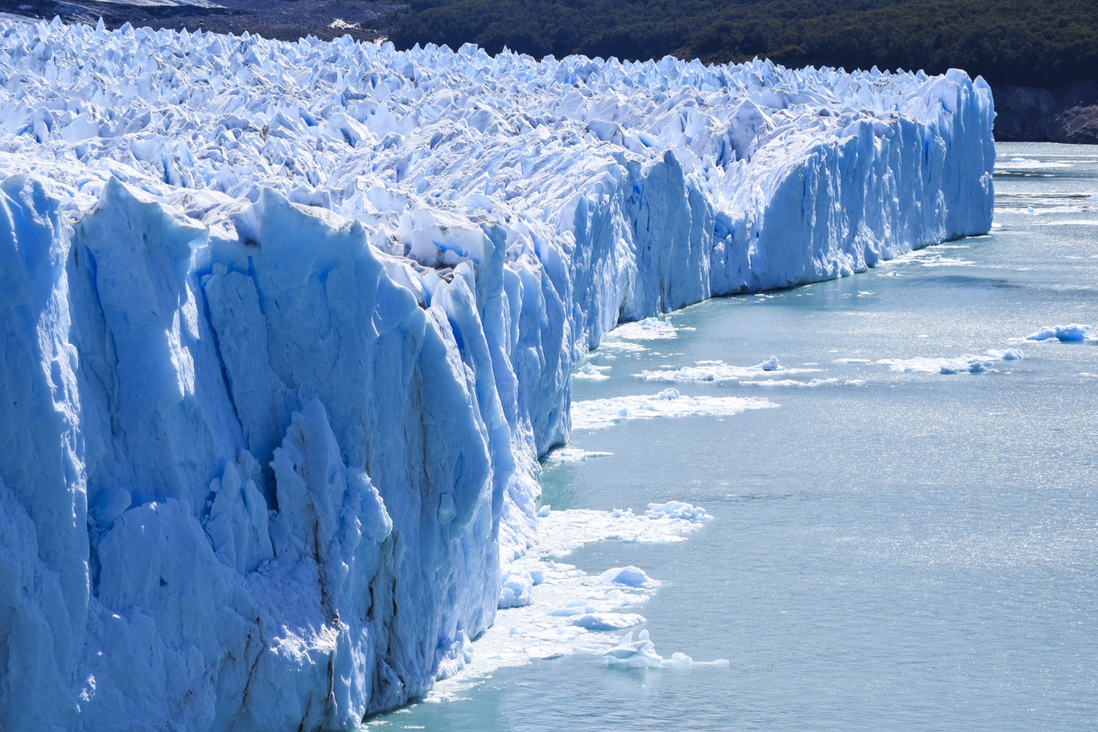 Towering blue glacier ice wall meeting cold water